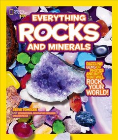 Everything rocks and minerals Book cover