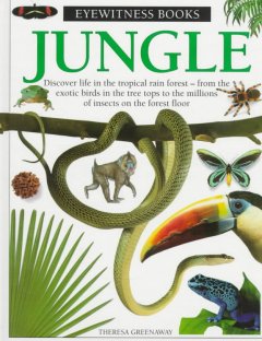Jungle  Cover Image