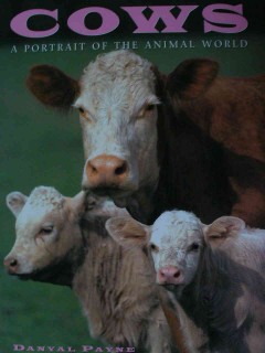 Cows : a portrait of the animal world  Cover Image