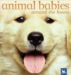 Animal babies around the house  Cover Image