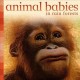 Go to record Animal babies in rain forests.