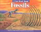 Go to record I can read about fossils