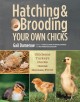 Go to record Hatching & brooding your own chicks