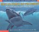 Go to record What do sharks eat for dinner? : questions and answers abo...