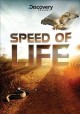 Go to record Speed of life