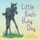 Go to record Little Foal's busy day