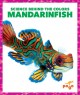 Go to record Mandarinfish