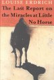 Go to record The last report on the miracles at Little No Horse