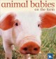 Go to record Animal babies on the farm