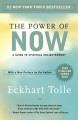 Go to record The power of NOW : a guide to spiritual enlightenment