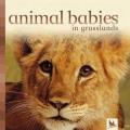 Go to record Animal babies in grasslands.